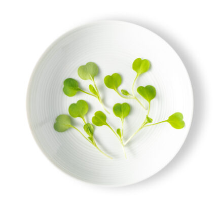 Micro Arugula