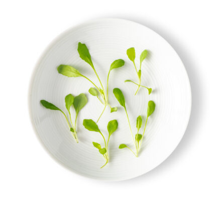 Micro Arugula Sylvetta