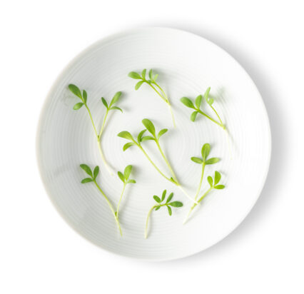 Micro Cress Pepper