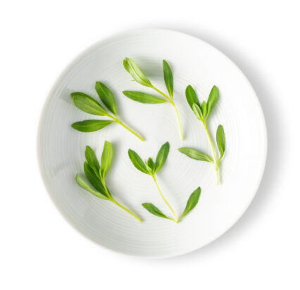 Micro Tarragon Spanish